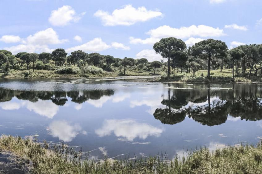 Herdade de Montalvo - foto 21