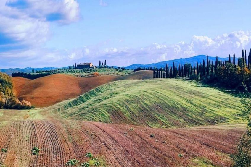 Stalla Verde - foto 32