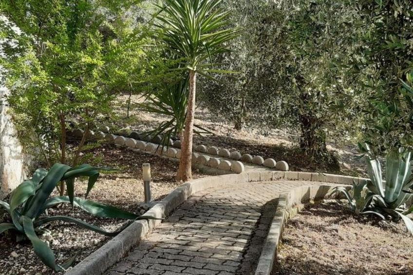 mit Garten und Kinderschwimmbad - foto 41