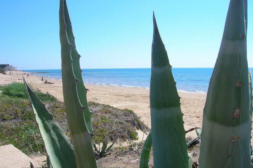 Charmantes Dachgeschoss mit Terrasse mit Blick auf die Landschaft. - foto 38