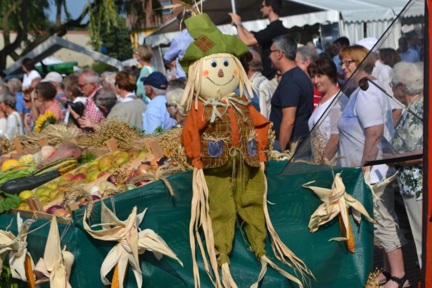 Großzügige Ferienwohnung mit Terrasse - foto 22