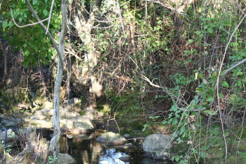 Gemütliches Landhaus Betania in Grazalema - foto 26