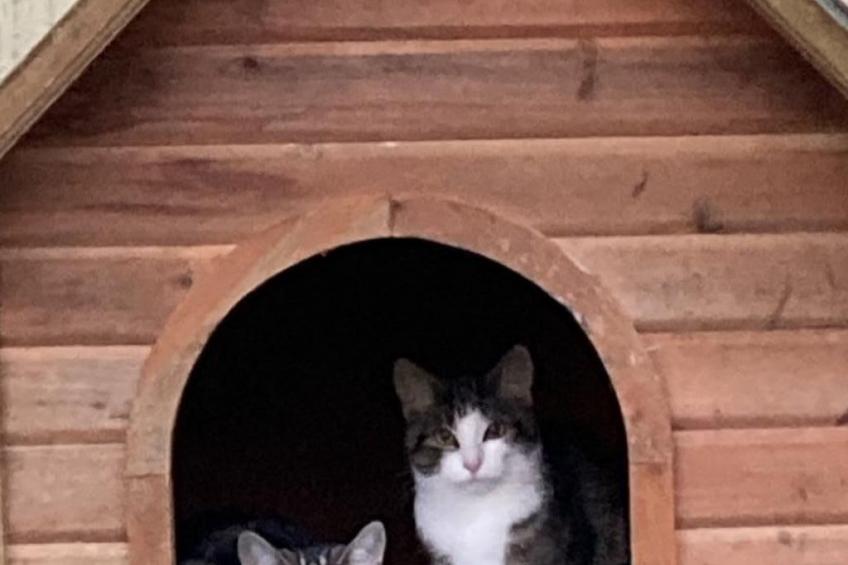 Wohnung "Rustique" - foto 21