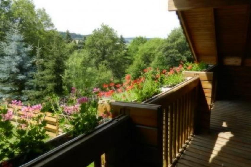 Eifelcottage Wildvogel - foto 22