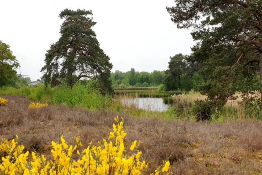 Vakantiepark 't Broeckhuys 7 - foto 26