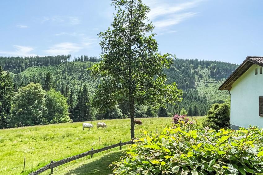 Black Forest Hideaway - foto 32