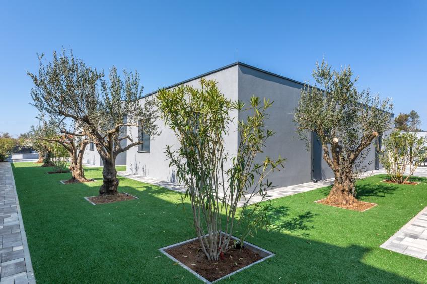 Resort More 2 - foto 10