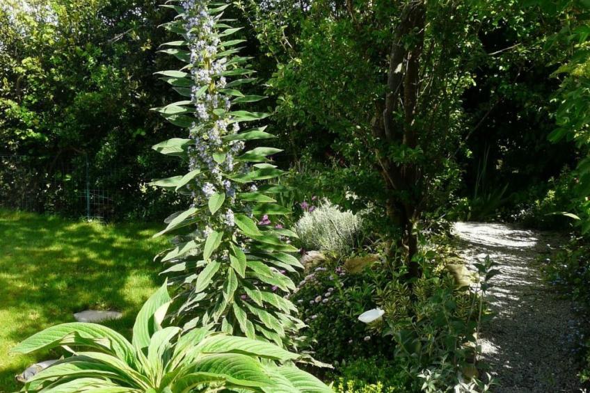 mit Blick auf das Wasser - foto 23