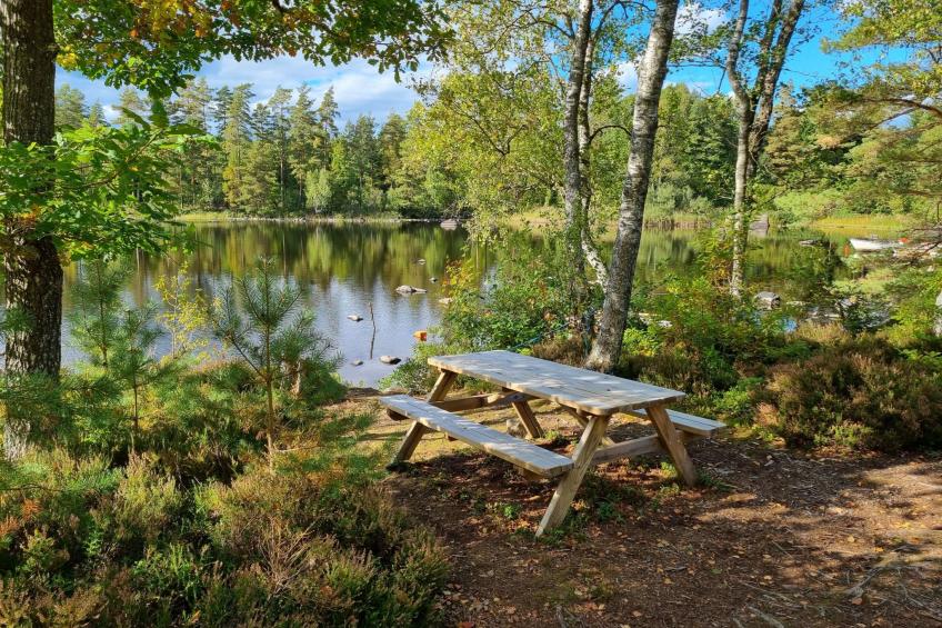 Abborren mit eigenem Ruderboot - foto 14