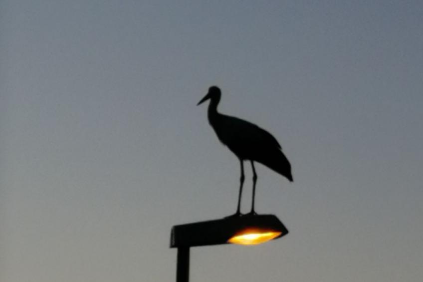 Naturblick Karla Rößler - foto 18