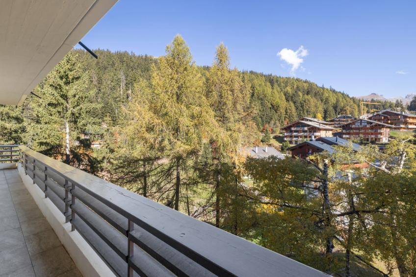 Cransalpin - foto 25