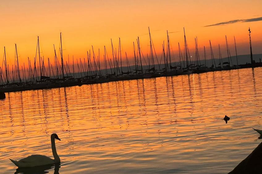 Dorina Wellness in Siofok - foto 27