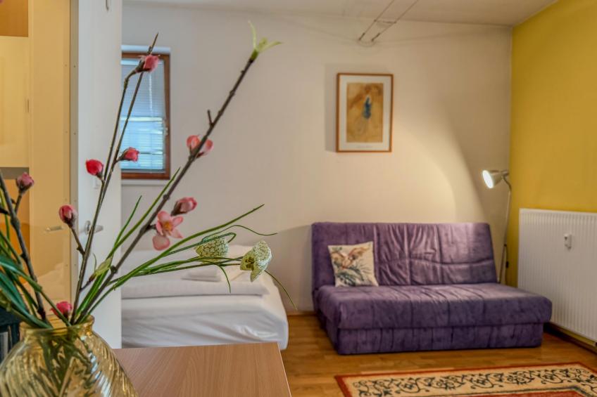 Salburg Tröpolach - foto 26