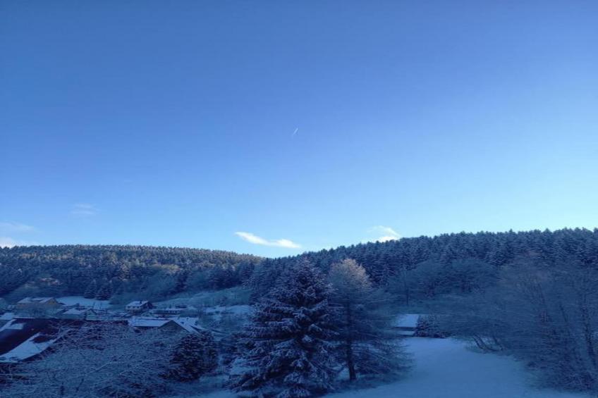 Thüringer Wald - foto 21