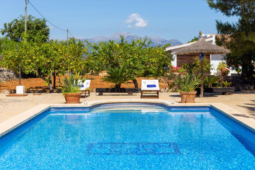 Mulet Llubi - foto 3