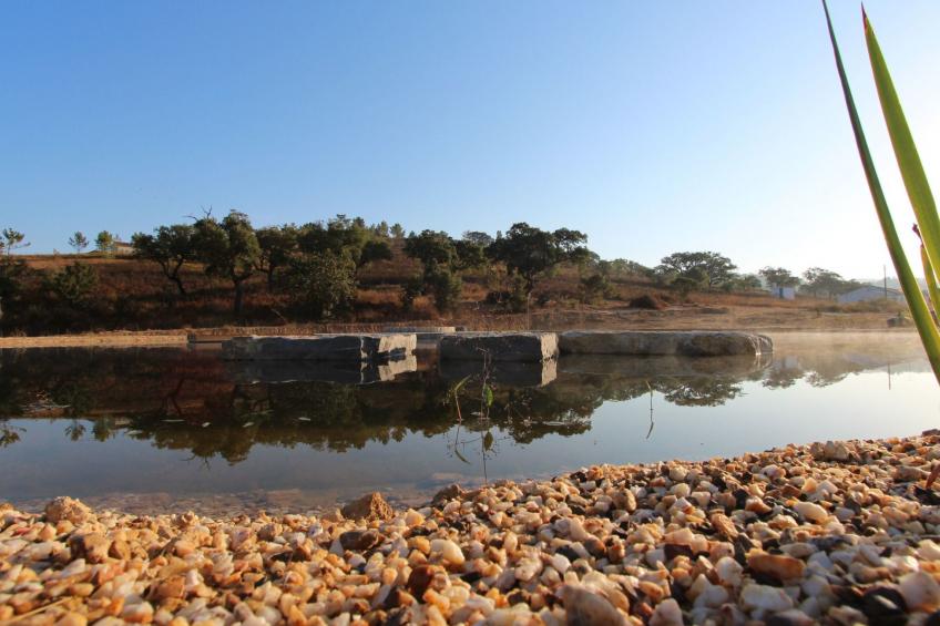 "The Natural Elements" - foto 25