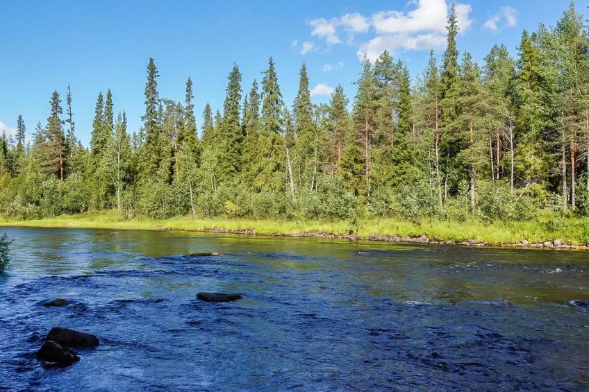 Kulpakko 1 - foto 19