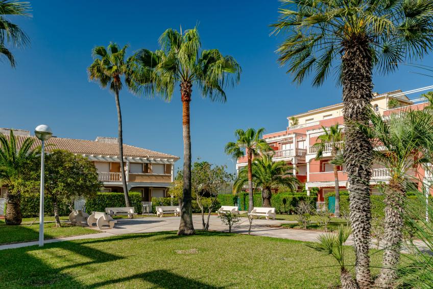 Estrella Blanca - foto 27