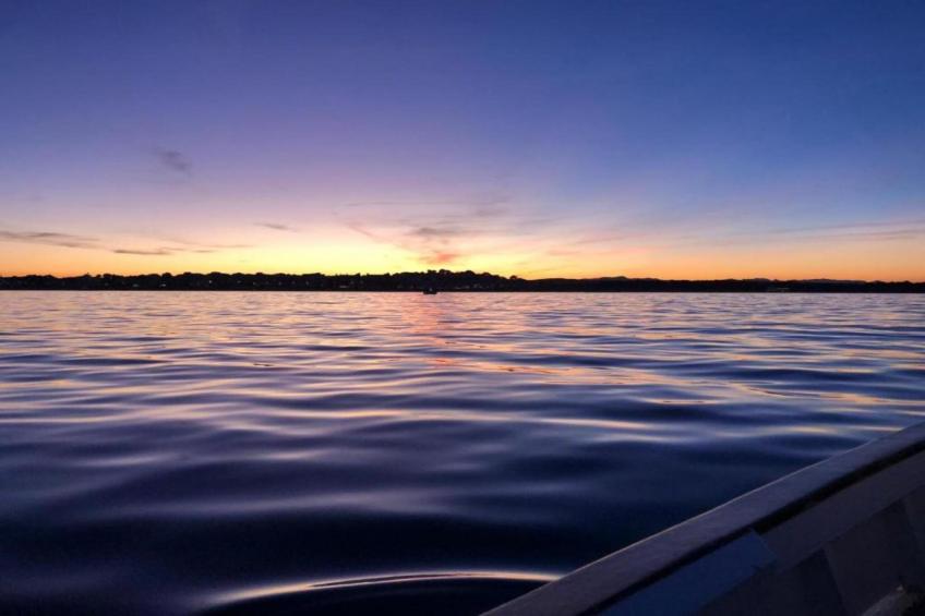 Nomad Harmonia - foto 25