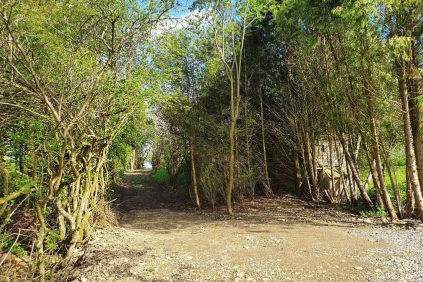 Petit Wilogne - foto 35