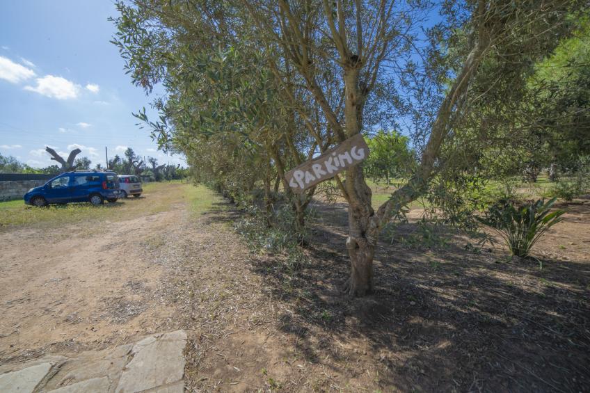 Masseria Le Palmentelle Pool And Garden - foto 33