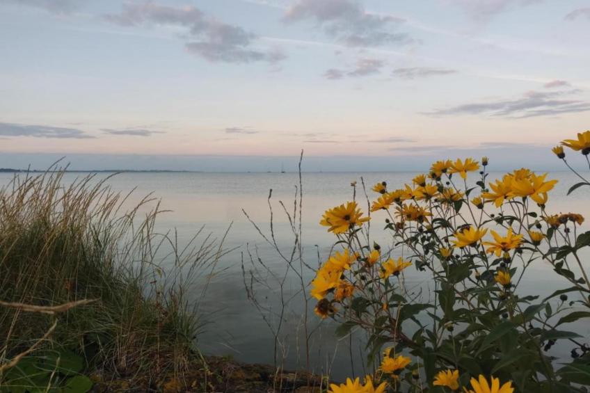 Appartement aan het meer in Heeg - foto 29