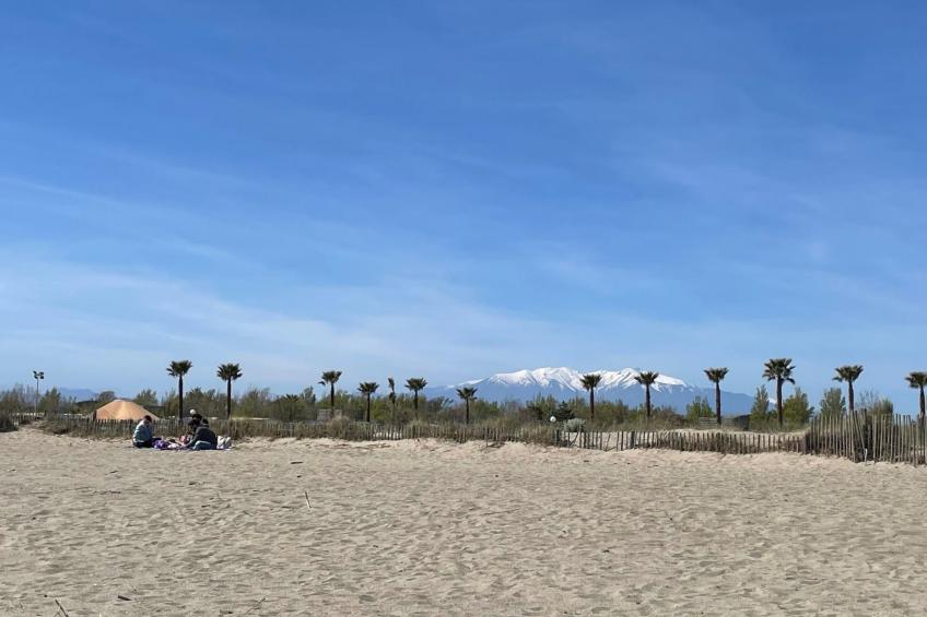 The Olive Retreat - foto 32