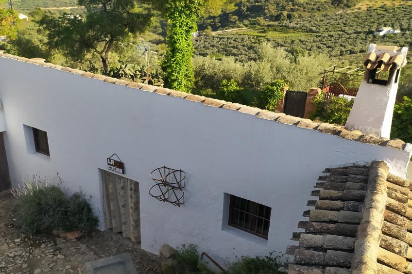 El Molino - foto 6