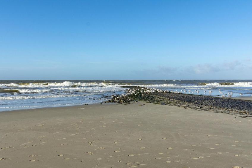 Wijde Blick 310 - foto 23