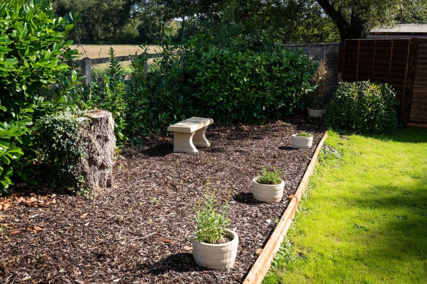 The Annexe at Rosebud Cottage - foto 36