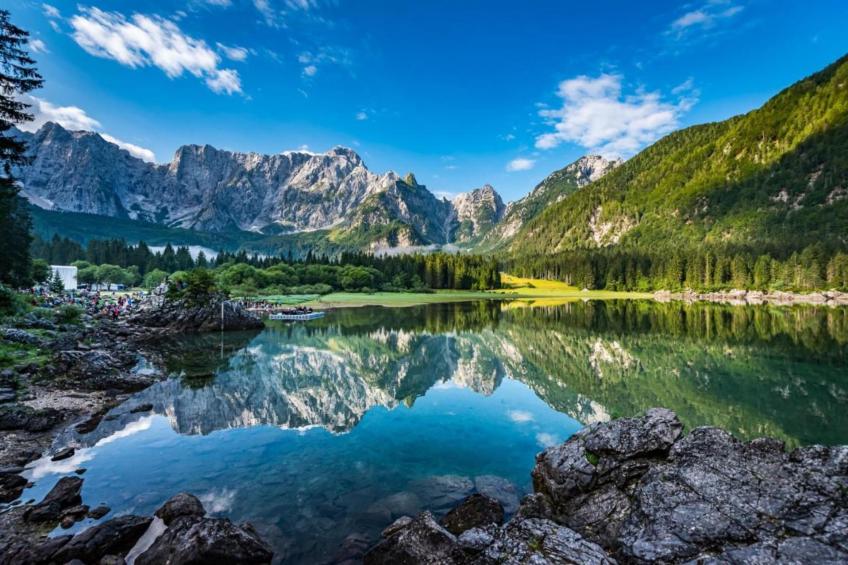 Rododendro - foto 40