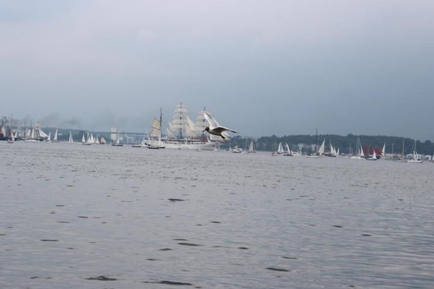 Appartement mit Garten, Grill und Terrasse - foto 13