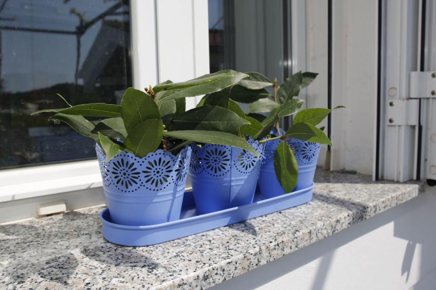 "Dororeja" - foto 12