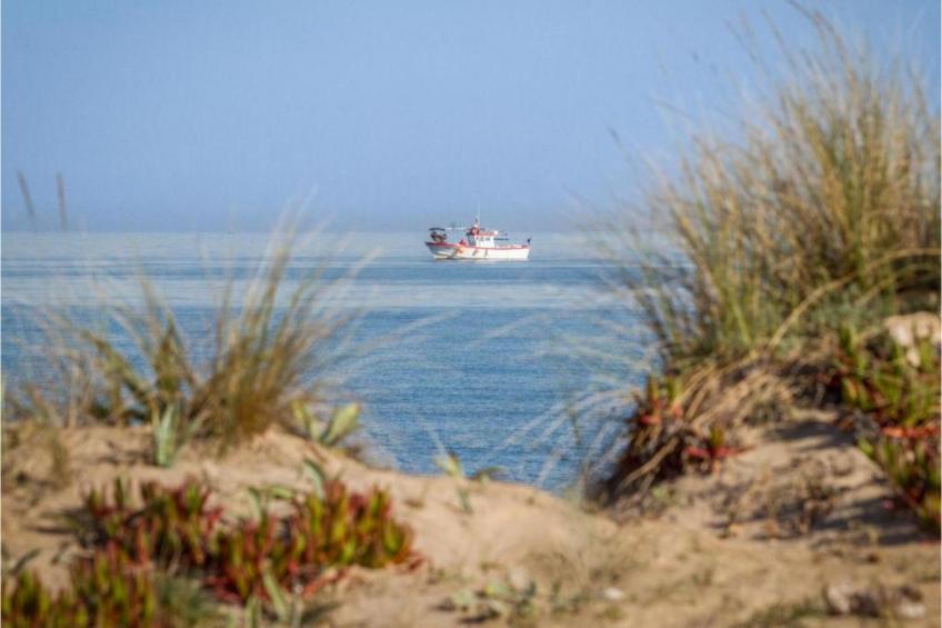 Casa Palmera - foto 26