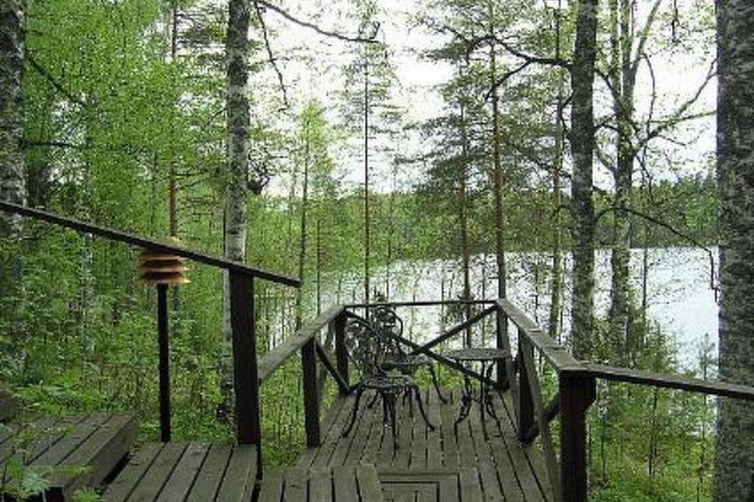 Koivurinne - foto 26