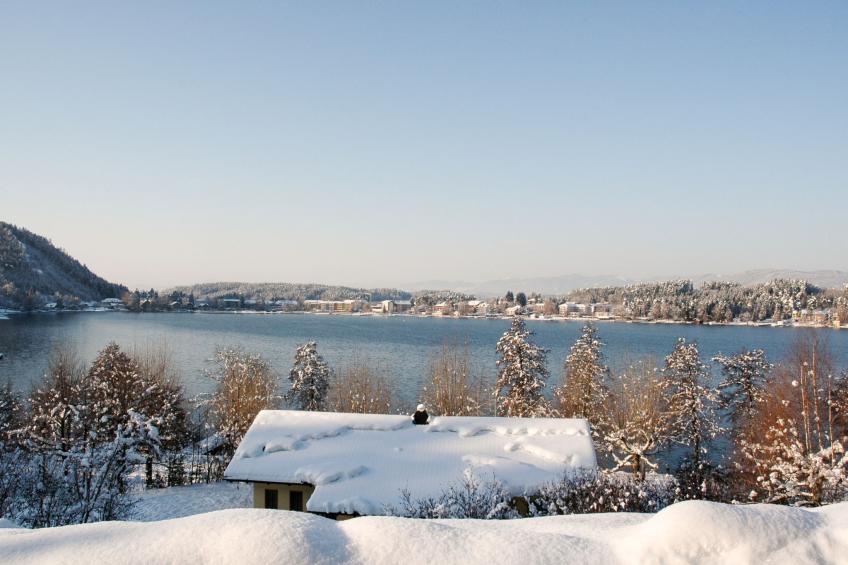 Laube - foto 19