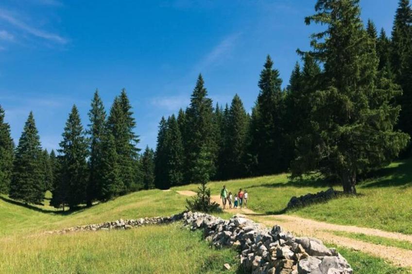 Village Vacances Bois d'Amont - foto 6