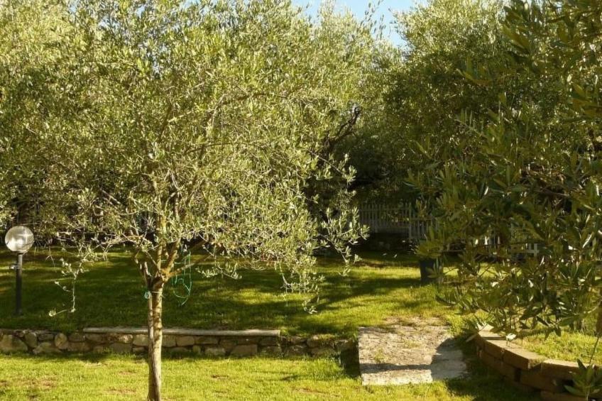 Villa am Gardasee mit großem Pool und Garten - foto 22