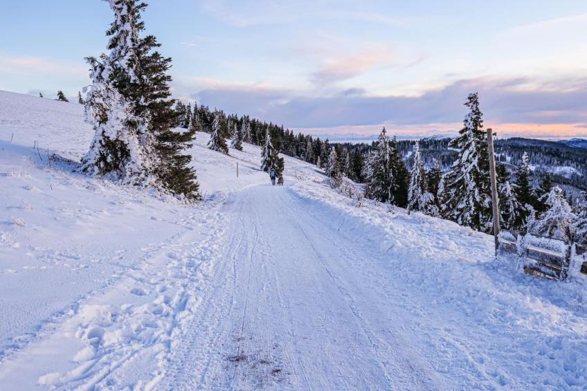 Lufs Loft für 6 Pers - foto 25