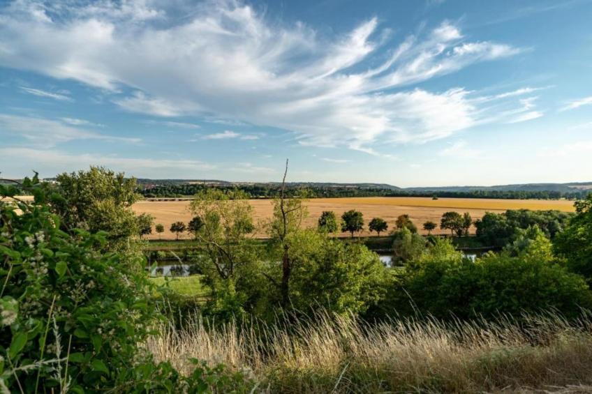 Burgblick im Saale Unstrut Weingebiet - foto 29