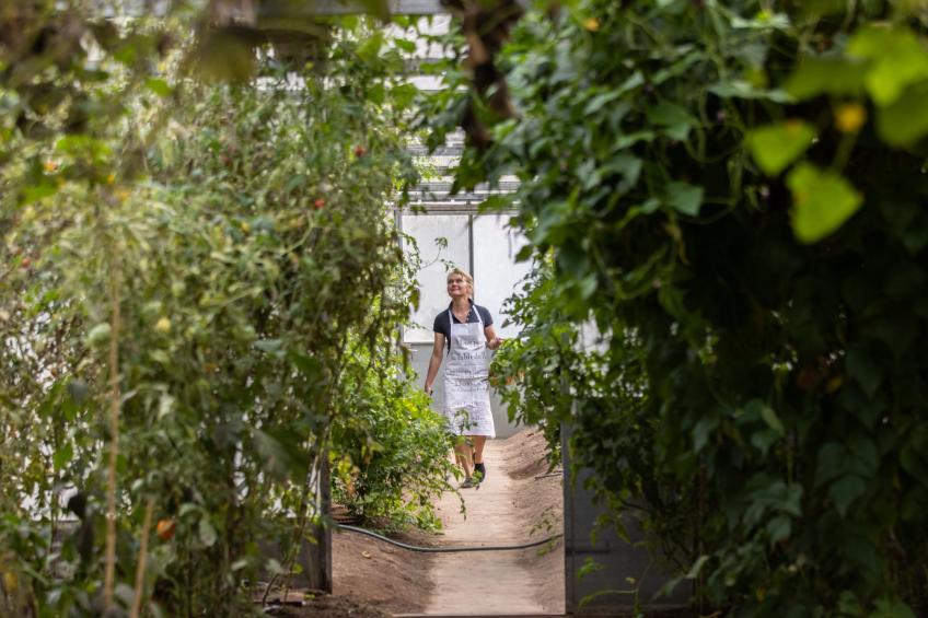 Grand Appartement - foto 18