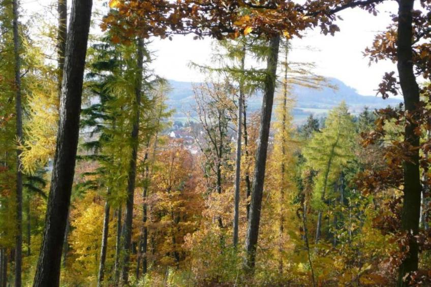 Schwarzhausen - foto 29