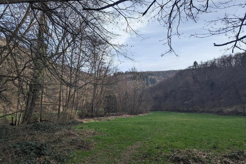 Budget Double Room - foto 20