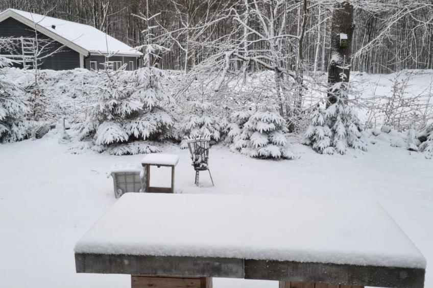 mit Terrasse, Grill und Garten - foto 9