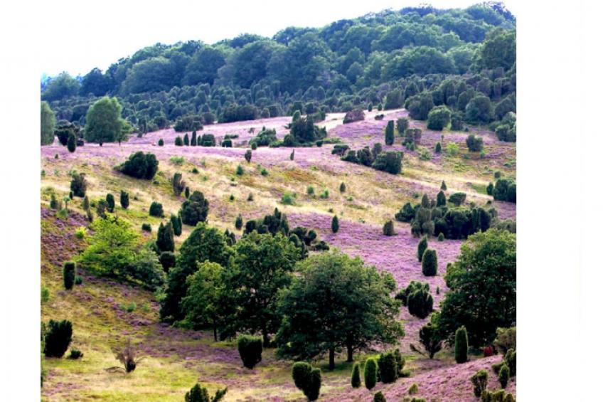 in Wolterdingen mit Eigener Terrasse - foto 22