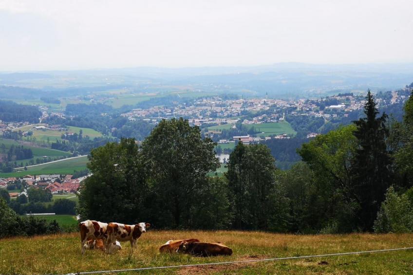 Wohnung mit möblierter Terrasse und Waldblick - foto 22