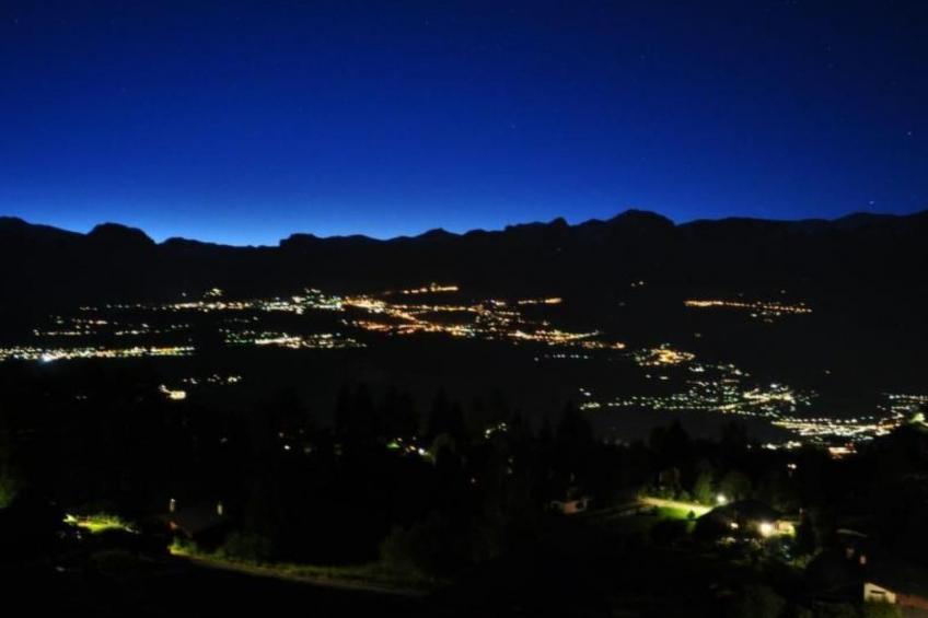 Blue Merle - foto 11