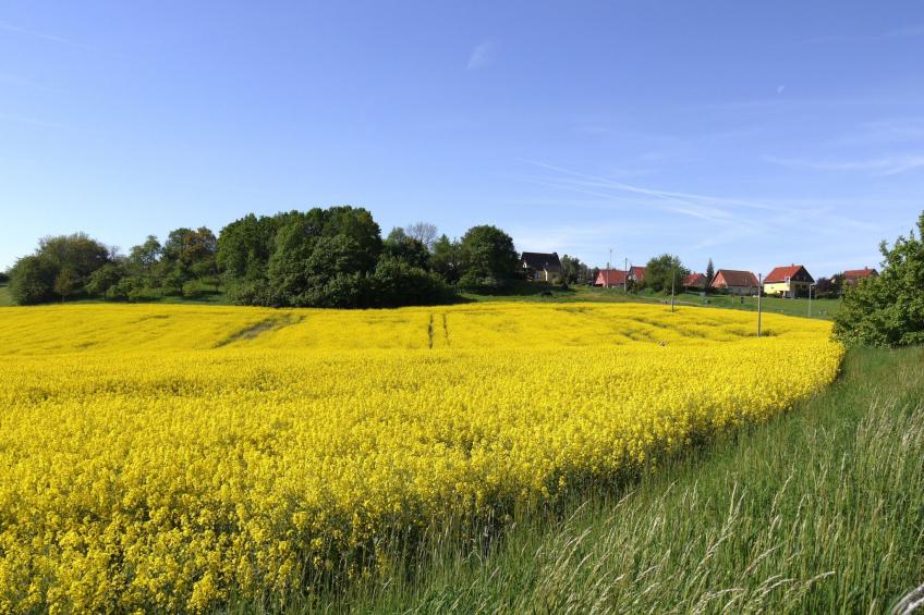 in Maxen mit Privatem Pool - foto 21