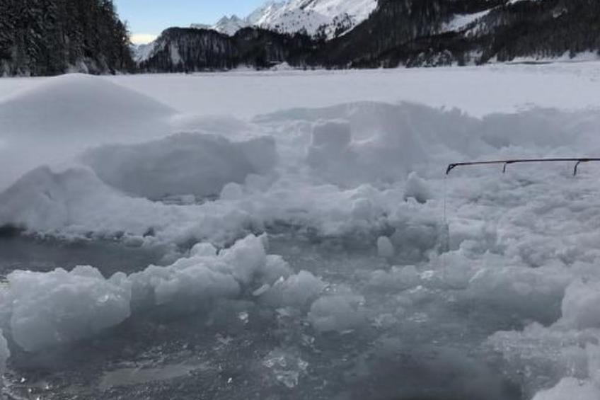 Chesa Andrea, EG - foto 39