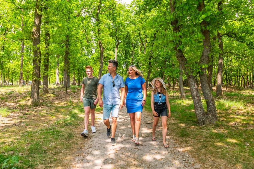 Villa Veluwe Plus 8 - foto 12